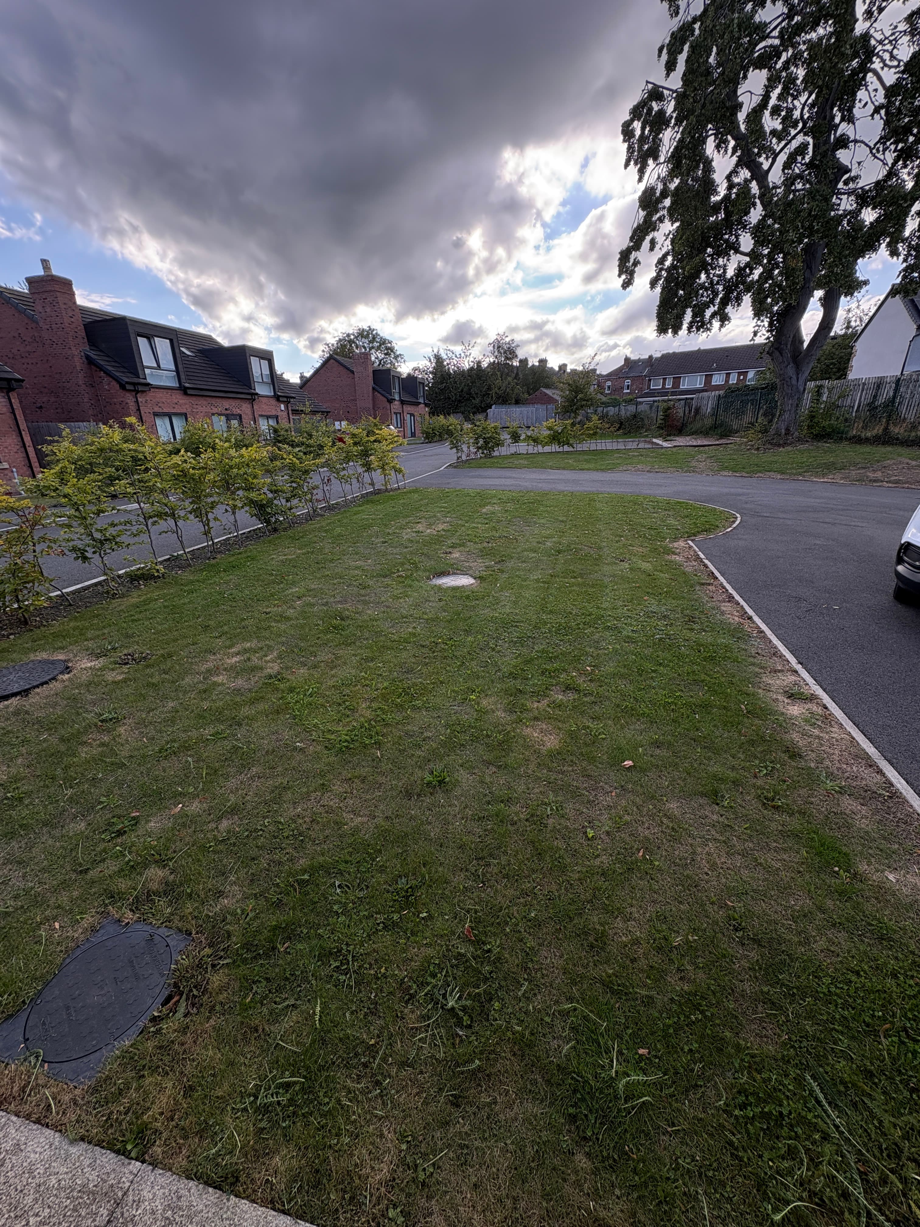 After Lawn Mow in Sheffield