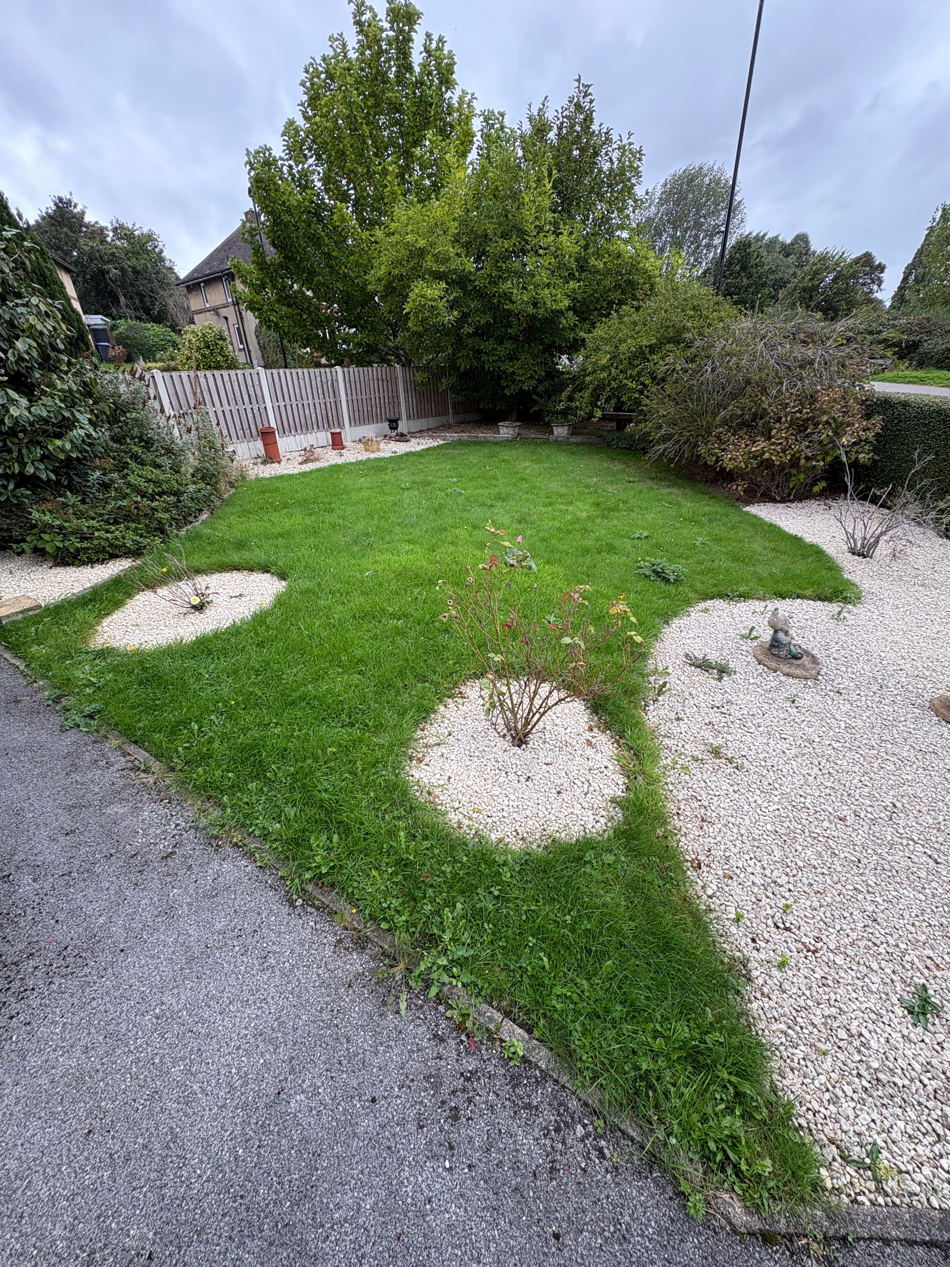 Before Lawn Mow in Sheffield