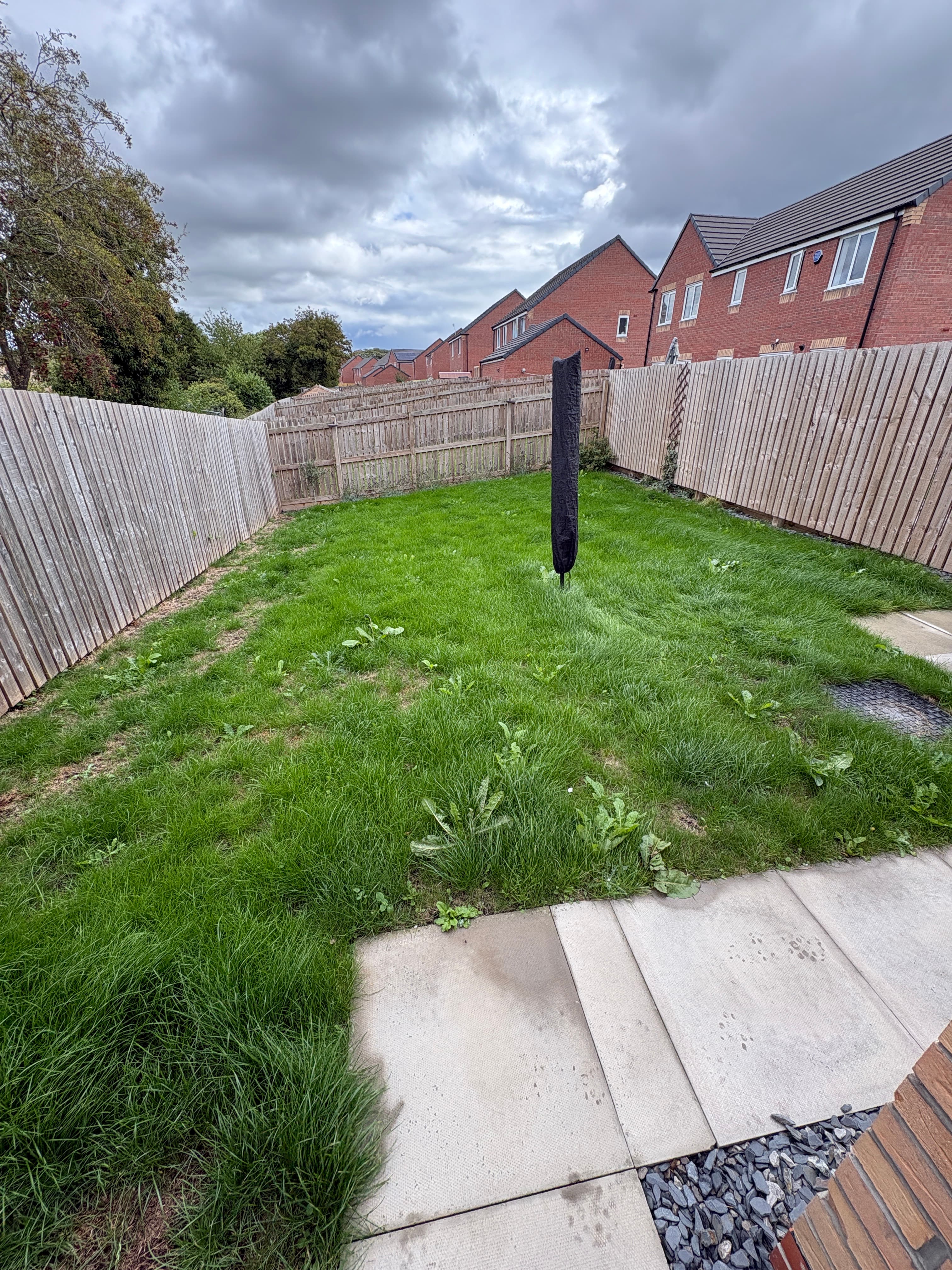 Before Lawn Mow in Sheffield