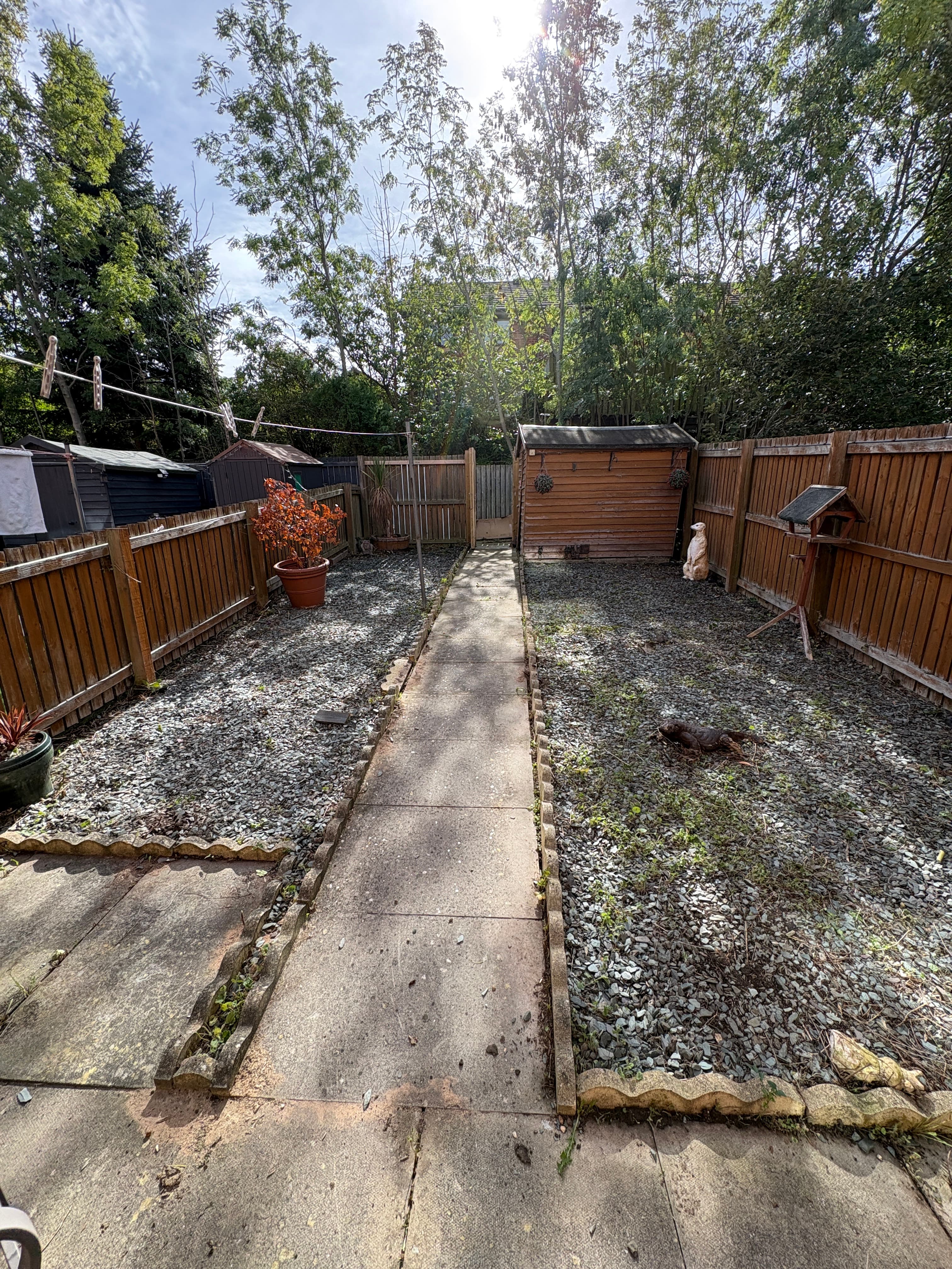 After Weeding in Sheffield