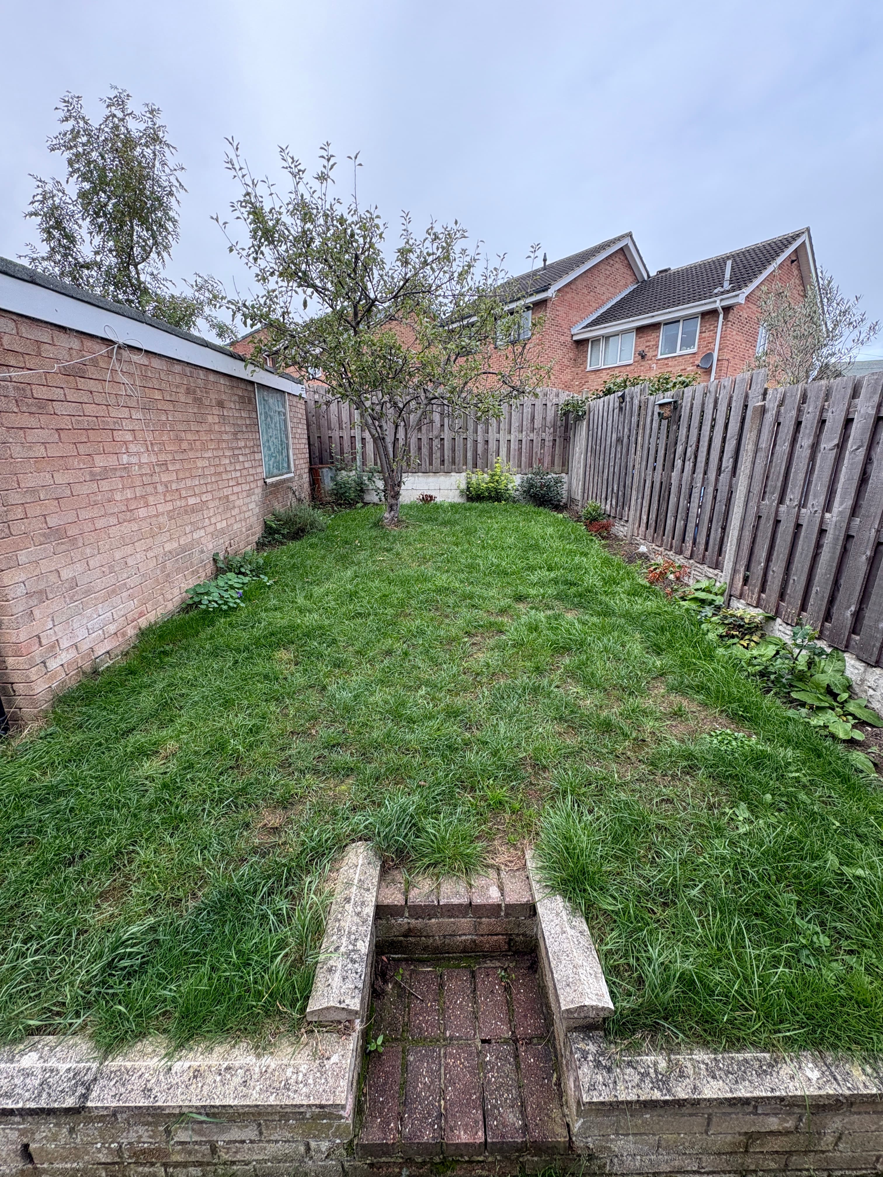 Before Lawn Mow in Sheffield