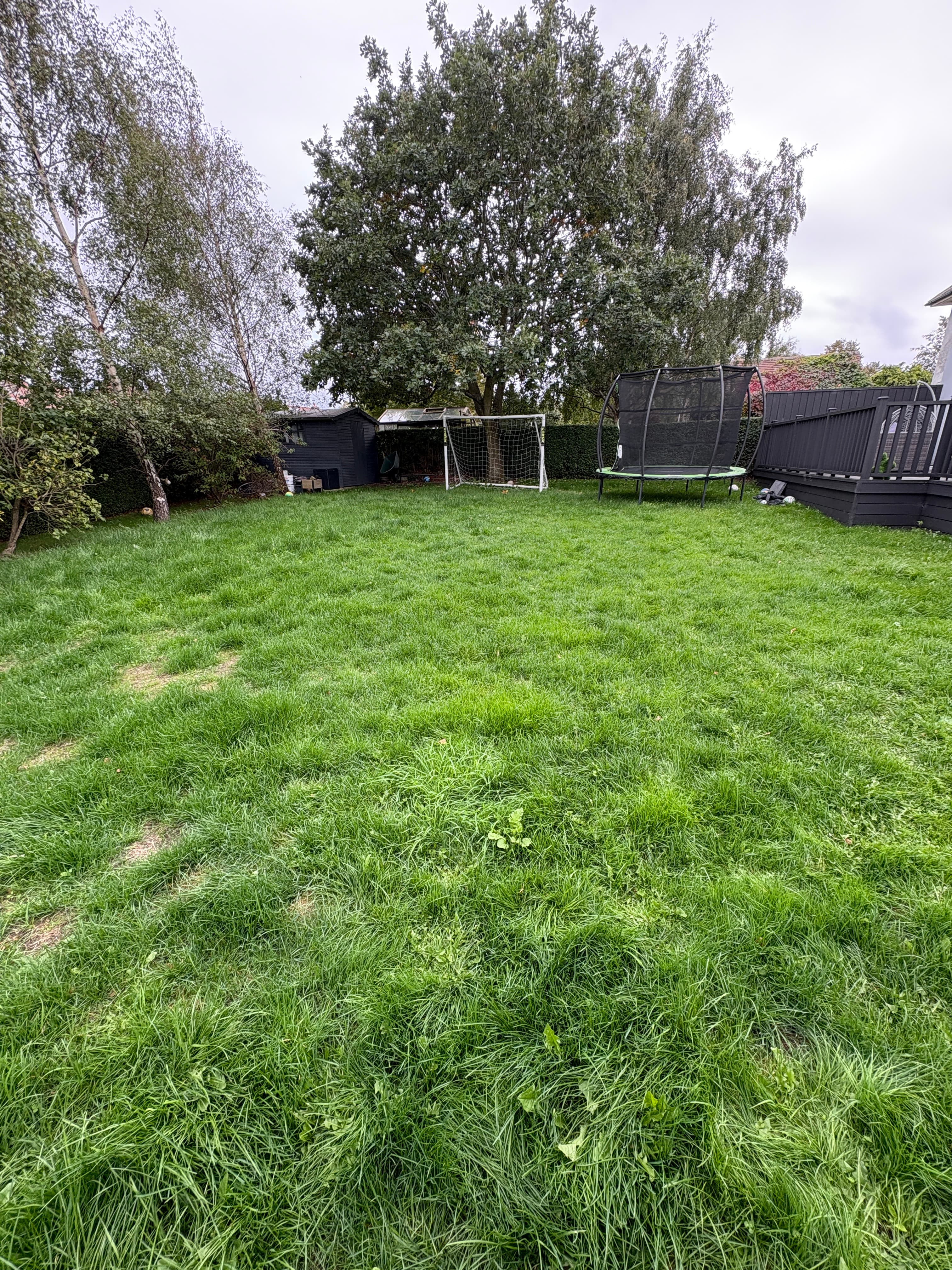 Before Lawn Mow in Sheffield
